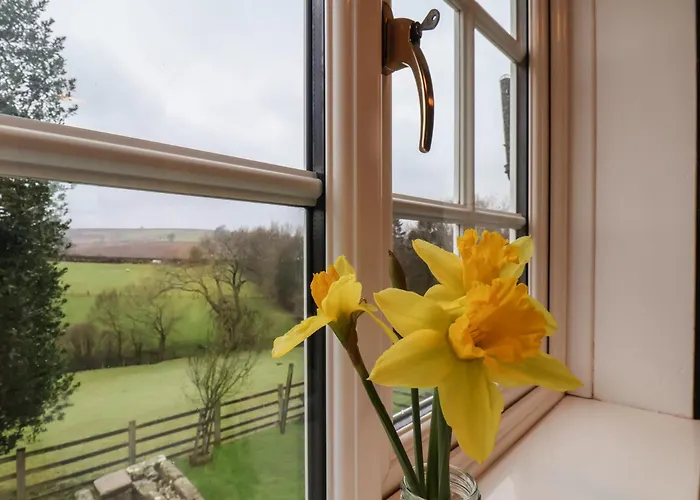 Holiday home 4 Lilac